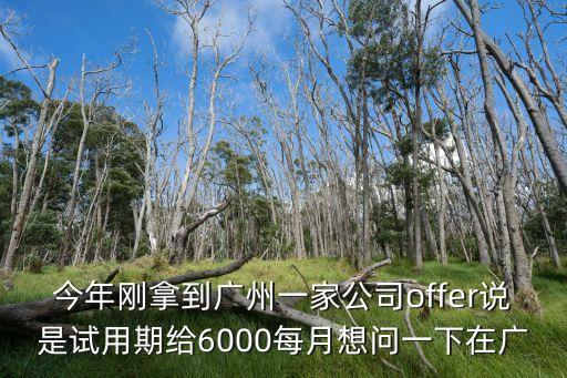廣州本科做視頻試用期工資待遇，廣州影視制作實習生的大概薪酬是多少