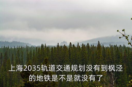 上海2035軌道交通規劃沒有到楓涇的地鐵是不是就沒有了