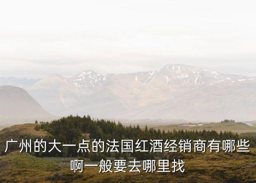廣州的大一點(diǎn)的法國(guó)紅酒經(jīng)銷商有哪些啊一般要去哪里找