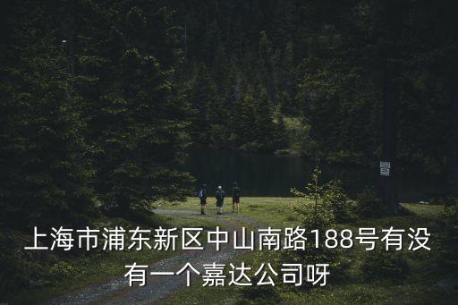 上海市嘉達早教，上海市浦東新區(qū)中山南路188號有沒有一個嘉達公司呀