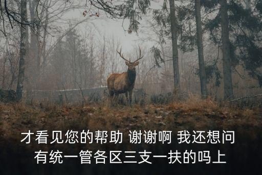 上海市三支一扶調整待遇，才看見您的幫助 謝謝啊 我還想問 有統一管各區三支一扶的嗎上