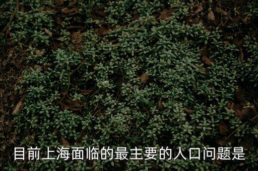 上海市人口特征及其人口問題，目前上海面臨的最主要的人口問題是