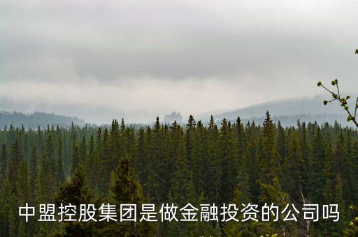 中盟控股集團是做金融投資的公司嗎