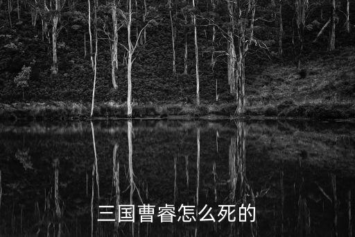 曹睿怎么死的，魏主曹睿怎么這么早死了
