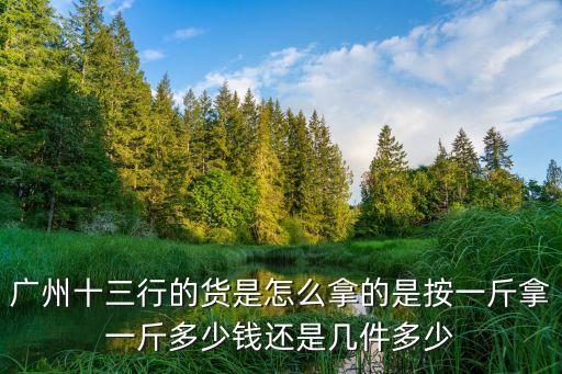 情商不是很高的女人廣州十三行拿貨，廣州十三行的貨是怎么拿的是按一斤拿一斤多少錢還是幾件多少