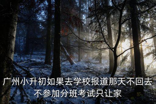 2020廣州小升初會推遲嗎，開學延遲小升初時間會變嗎