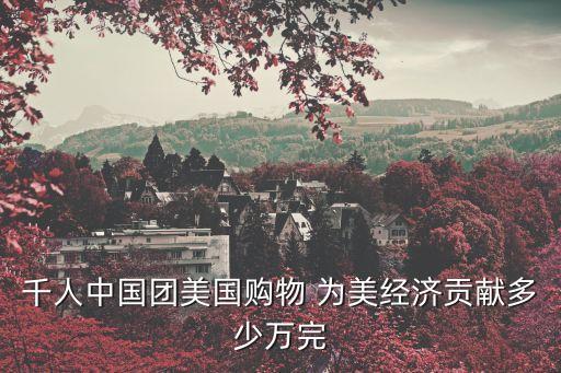 千人中國團美國購物 為美經濟貢獻多少萬完