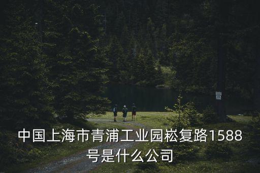 中國上海市青浦工業園崧復路1588號是什么公司