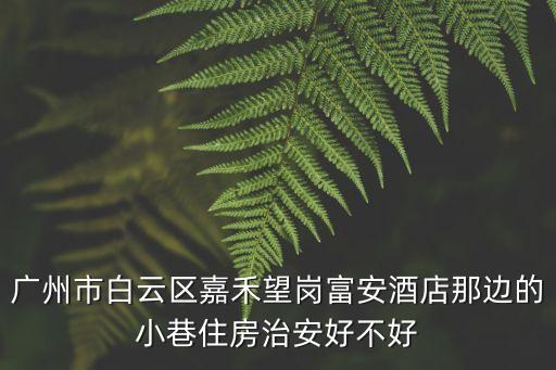 廣州嘉禾望崗有街女嗎2020，廣州市白云區嘉禾望崗富安酒店那邊的小巷住房治安好不好