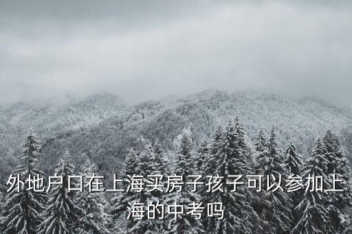 上海市新房搖號(hào)積分政策，上海為何搖號(hào)買房怎么搖