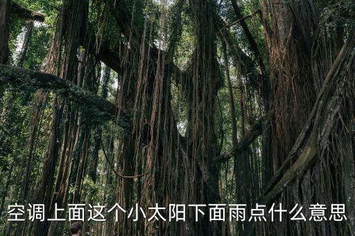 空調(diào)上面這個(gè)小太陽下面雨點(diǎn)什么意思