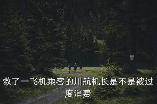 川航英雄機(jī)長(zhǎng)，救了一飛機(jī)乘客的川航機(jī)長(zhǎng)是不是被過(guò)度消費(fèi)