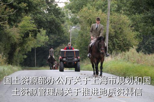 國土資源部辦公廳關(guān)于上海市規(guī)劃和國土資源管理局關(guān)于推進(jìn)地質(zhì)資料信