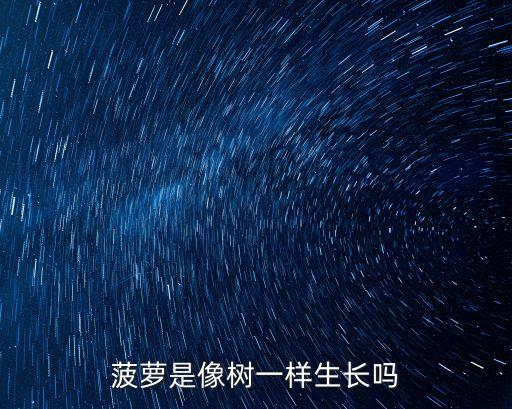 菠蘿是像樹一樣生長嗎