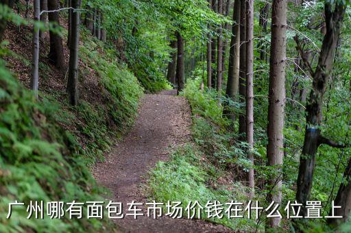 廣州哪有面包車市場價錢在什么位置上