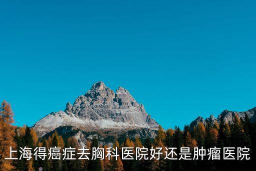 上海得癌癥去胸科醫院好還是腫瘤醫院