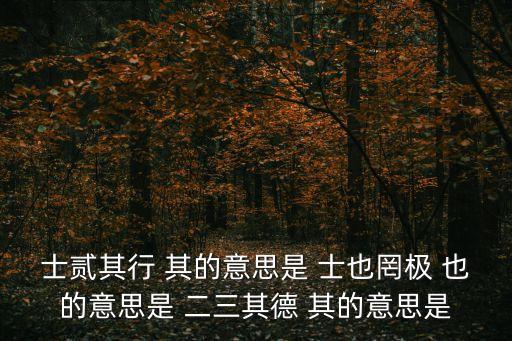 士貳其行，女也不爽士二其行是什么意思