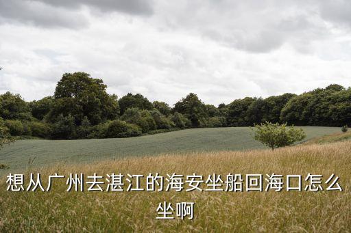 想從廣州去湛江的海安坐船回?？谠趺醋? class=