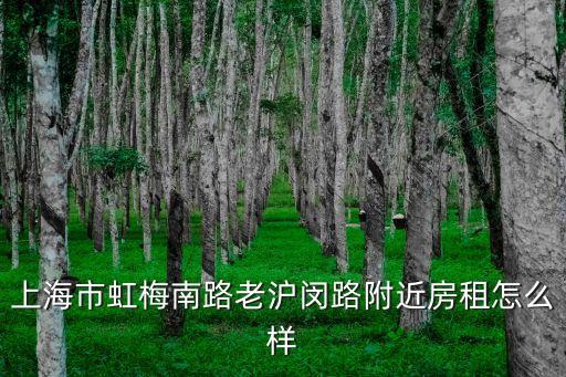 上海市閔行區(qū)虹梅南路紅椿一公寓，上海市虹梅南路老滬閔路附近房租怎么樣