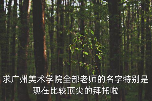 求廣州美術學院全部老師的名字特別是現在比較頂尖的拜托啦