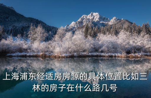上海市郊動遷房經適房，上海浦東經適房房源的具體位置比如三林的房子在什么路幾號