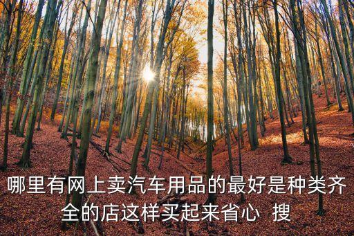 哪里有網上賣汽車用品的最好是種類齊全的店這樣買起來省心  搜