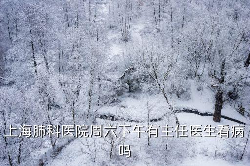 上海肺科醫(yī)院周六下午有主任醫(yī)生看病嗎