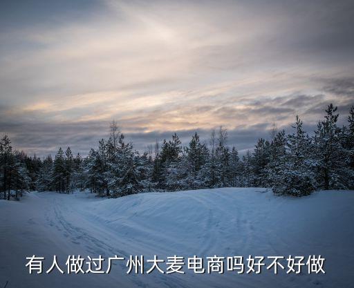 廣州大麥0電商解決方案服務商，有人做過廣州大麥電商嗎好不好做