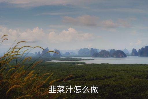 韭菜汁，韭菜怎么榨汁