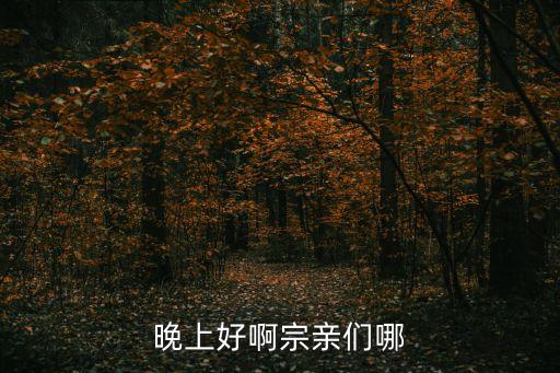 晚上好啊宗親們哪