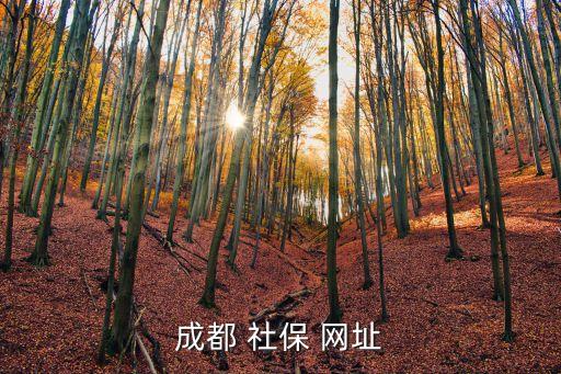 成都市社保局官網(wǎng)，成都市社保局網(wǎng)址如何在網(wǎng)上查詢交費情況
