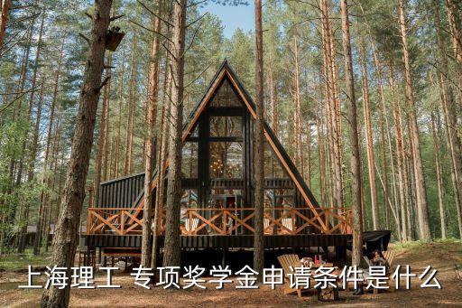上海市獎學金大幾可以申請，上海市獎學金如何申請