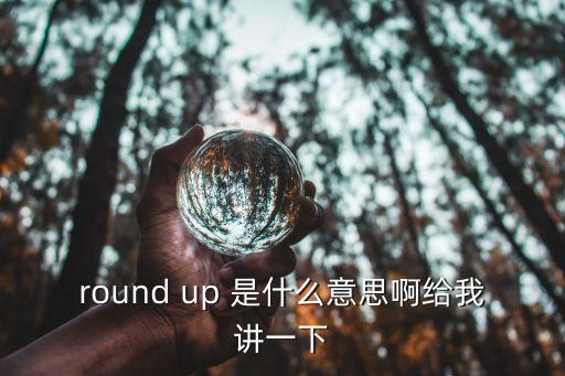 round up 是什么意思啊給我講一下