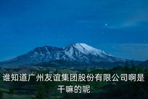 誰知道廣州友誼集團股份有限公司啊是干嘛的呢