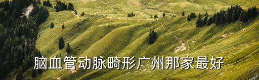 腦血管動脈畸形廣州那家最好