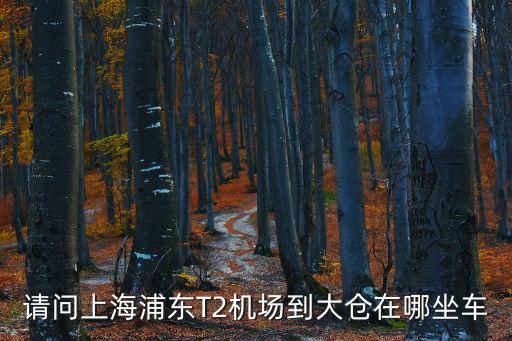 請(qǐng)問上海浦東T2機(jī)場(chǎng)到大倉在哪坐車
