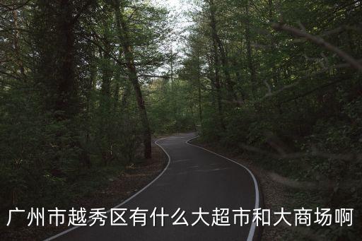 廣州市越秀區(qū)有什么大超市和大商場啊