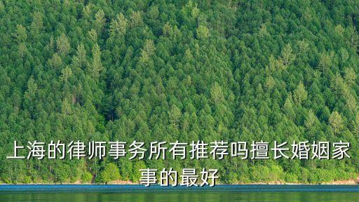上海的律師事務所有推薦嗎擅長婚姻家事的最好