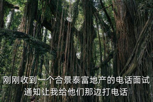 剛剛收到一個(gè)合景泰富地產(chǎn)的電話面試通知讓我給他們那邊打電話