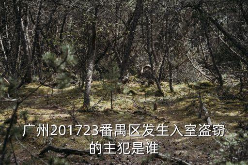 廣州201723番禺區(qū)發(fā)生入室盜竊的主犯是誰