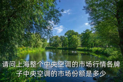 請(qǐng)問上海整個(gè)中央空調(diào)的市場(chǎng)行情各牌子中央空調(diào)的市場(chǎng)份額是多少