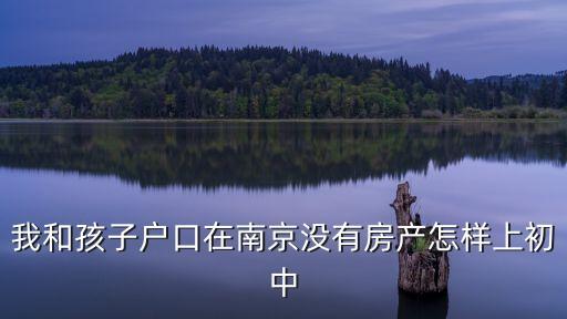上海市防控辦發(fā)，電廠用的高壓加熱器一般是進口還是國產(chǎn)的