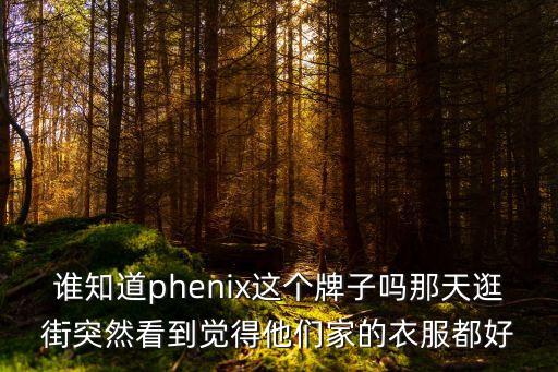 phenix 腹直肌 廣州，phenix品牌一般都什么價(jià)位有了解這個(gè)品牌的嗎給介紹下