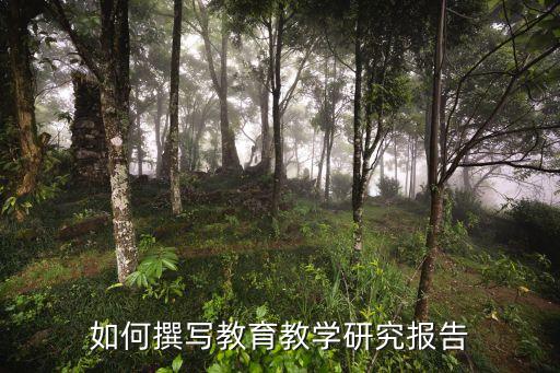 教育研究報告，教育調查報告要寫什么內容呢要寫哪些話題