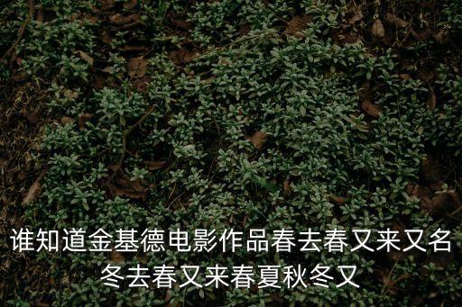 誰知道金基德電影作品春去春又來又名冬去春又來春夏秋冬又
