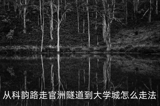 從科韻路走官洲隧道到大學(xué)城怎么走法