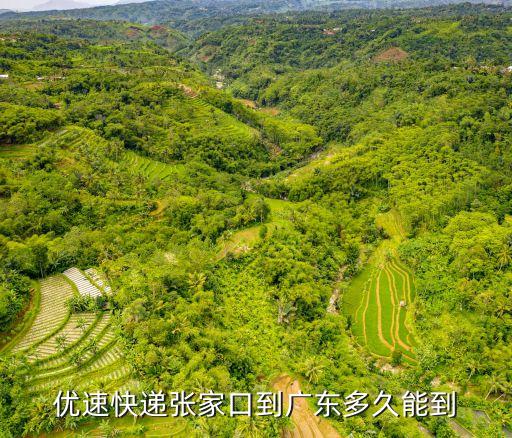 張家口到廣州有幾條高速，張家口現(xiàn)有幾條高速公路