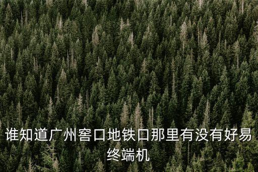 誰(shuí)知道廣州窖口地鐵口那里有沒(méi)有好易終端機(jī)
