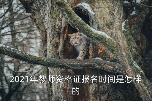 教師資格證時(shí)間，教師資格證什么時(shí)候考試