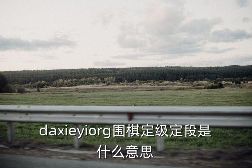 daxieyiorg圍棋定級(jí)定段是什么意思